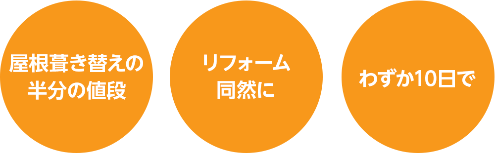 屋根葺き替えの半分の値段。リフォーム同然に。わずか10日で。